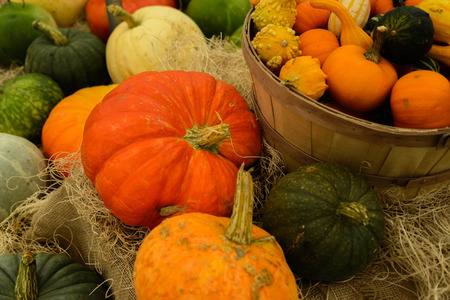 Halloween gourds of differrent colors and sizes