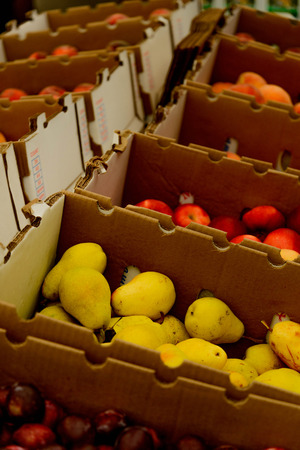 fresh farmers market fruits and vegetablesの写真素材