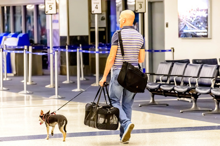 IAH, Houston Intercontinental Airport, Houston, TX, USA - man walking his dog in an airportのeditorial素材