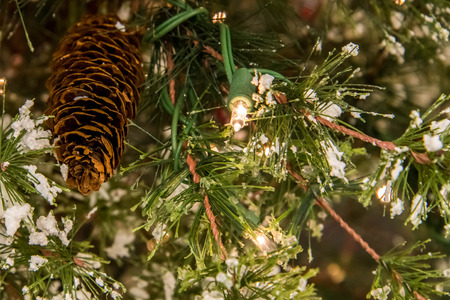 Christmas decorations, lights in a treeの写真素材