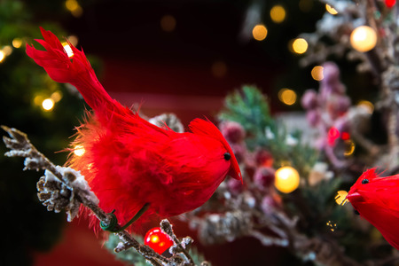 Christmas decorations, red bird and lights in a treeの写真素材