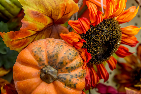 colorful fall decorations - pumpkins, leavesの写真素材