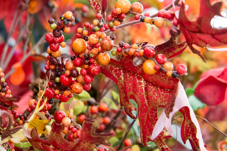 colorful fall decorations - pumpkins, glittery leaves
