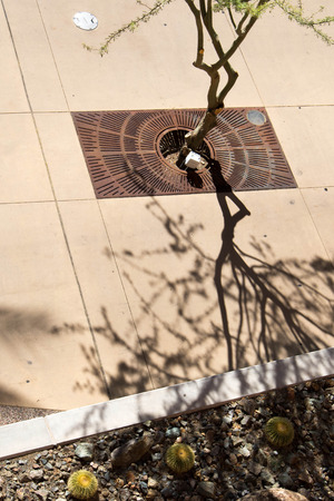 Urban streetscapes and buildings in downtown Phoenix, Arizonaのeditorial素材