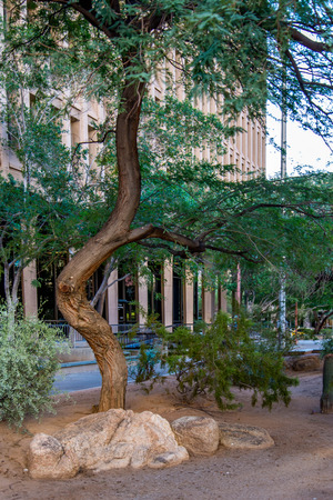 Urban streetscapes and buildings in downtown Phoenix, Arizonaのeditorial素材