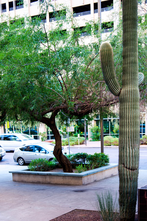 Urban streetscapes and buildings in downtown Phoenix, Arizonaのeditorial素材