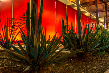 Urban streetscapes and buildings in Phoenix, Arizonaのeditorial素材