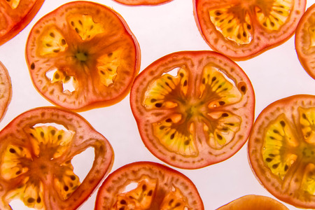 ced red tomatoes with  backlightingの写真素材
