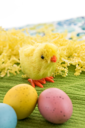 pastel colored Easter eggs and yellow spring chick