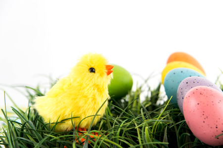 Easter eggs and yellow spring chick on grass