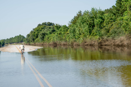 Standing water in Houston remaining  from hurricane Harvey, on Eldridge near Addicks reservoirの写真素材