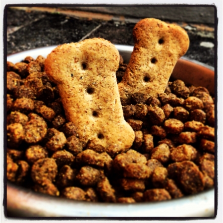 My border collies favourite biscuits... の素材