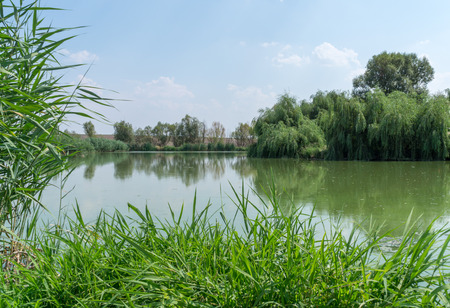 Quiet fishing pondの写真素材