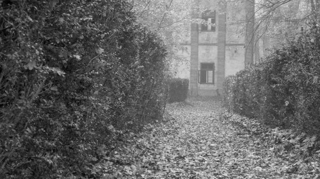 Black and white park alley with old buildingの写真素材