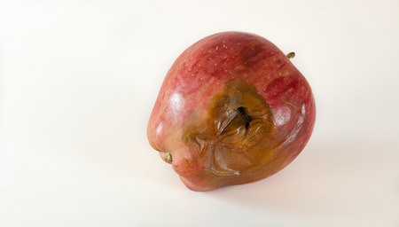 Red rotten appleの写真素材