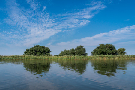 Riverbank of the Danube river with reeds and trees. Danube delta, Romania.の写真素材