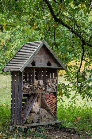 Wooden insect hotel, shelter for wild insects in the forestの写真素材