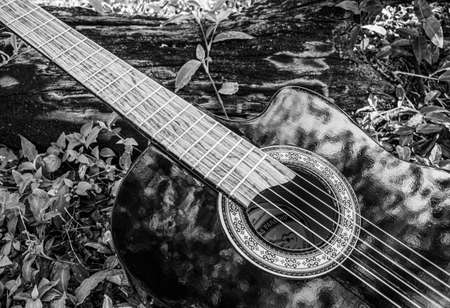 classical black guitar on the grass diagonally in black and white