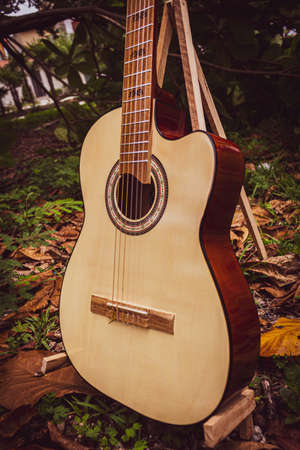 Classic guitar curved wood light colorsの写真素材
