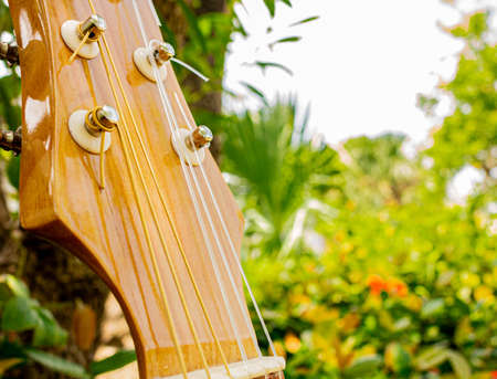 individual pegs of acoustic guitar strings close upの写真素材