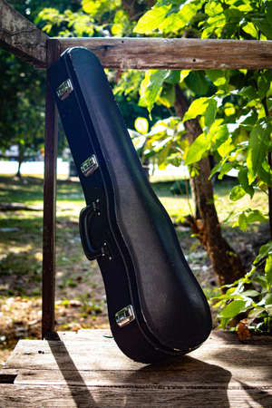 old style violin on its green corduroy case, with stick, garden background, colorful, highlighted