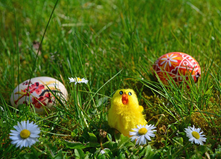 Easter Eggs with little chickens on a green grass