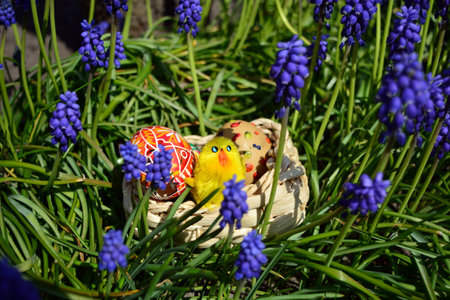 Easter eggs and little chicken on a basket on a green grass on a garden
