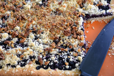 Fresh homemade blueberry cake on a baking plate on the tableの写真素材