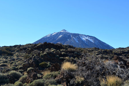 Mountain Teide National Park in Tenerife. Canary Islands. Spain.の写真素材