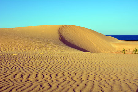 Landscape Dunes of Corralejo, Fuerteventura, Canary Islands, Spain.の写真素材