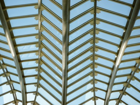 Valencia, Spain - August 2009: a external view of the Arts and Science Museum by Santiago Calatravaのeditorial素材