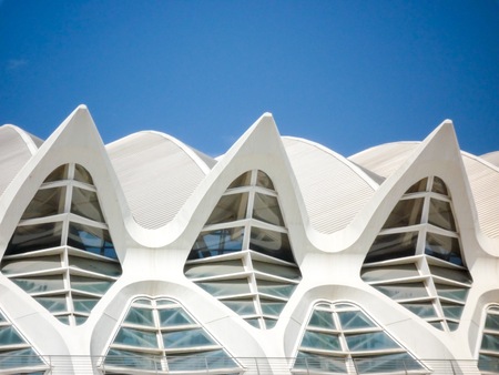 Valencia Spain  August 2009: a external view of the Arts and Science Museum by Santiago Calatravaのeditorial素材