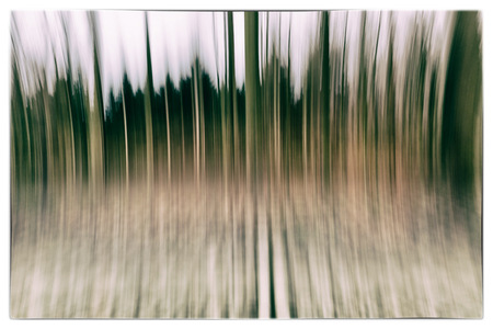 A conceptual photo using slow shutter speed of trees in a forest showing green and orange leaves with a strong vintage filter in Europeの写真素材