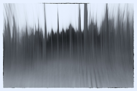 A black and white photo of a conceptual photo using slow shutter speed of trees in a forest showing leaves and the path in Europeの写真素材