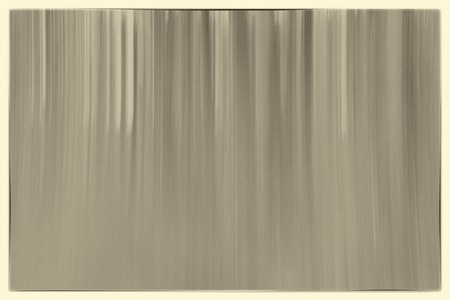 A conceptual sepia using slow shutter speed photo of trees in a forest showing leaves and trees with a vintage analog filter in Europeの写真素材