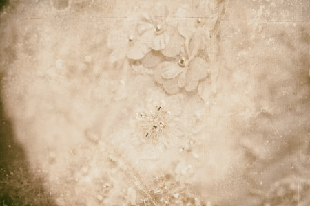 A macro photo of a detailed white wedding dress with white flowers and fake diamonds knitted to the dress a vintage textured filterの写真素材