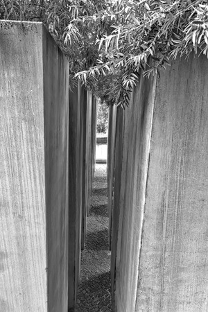 July 2015 - The Jewish Museum Berlin, Berlin, Germany: The Garden of Exile and Emigration.The 49th column, filled with earth from Jerusalem, stands for Berlin. The whole garden is on a 12ÃÂ° gradient and disorients visitors.のeditorial素材