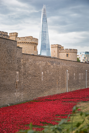 August 2014 - London, United Kingdom: Almost 900,000 ceramic poppies are installed at The Tower of London to commemorate Britain's involvement in the First World War.のeditorial素材
