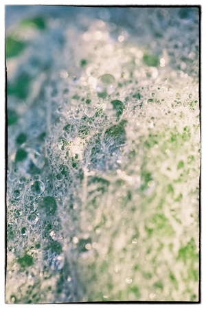 A macro image showing frozen water drops on leaf with texture detailsの写真素材