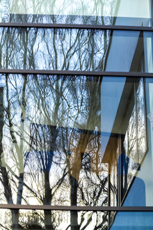Reflection of trees in  a Modern white rendered buildingの写真素材