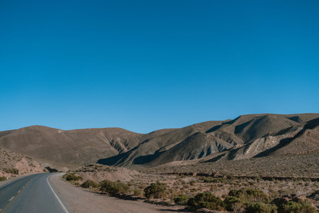 A road with a clear blue sky above it. The road is empty and there are no cars on it