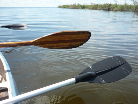 Padling near caimans in Esteros del Ibera, Argentina