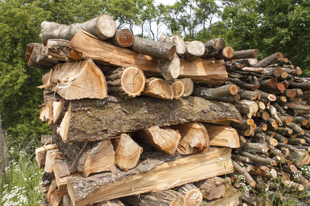 chopped firewood for the winter the wood of the plum treeの写真素材