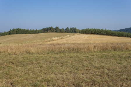 Dry landscape, hot summer without rain in the Czech Republic. Dry grass on a hot summer day.の写真素材
