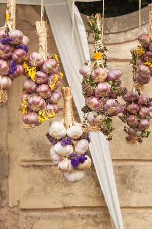 Organic garlic for sale at outdoor Farmers Market. Sales of garlic at the market.の写真素材