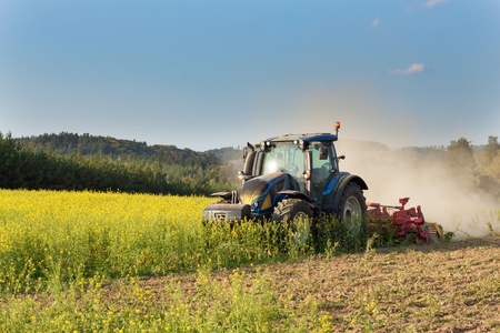 Blue tractor in a field of mustard in the Czech Republic. Dusty field and agricultural work. Autumn farm chores. The tractor mows mustard on a sunny day. Farmer working in the field.の写真素材