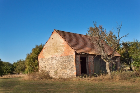Old barn and tree against blue sky background. Abandoned farm buildings with weathered wall.の写真素材
