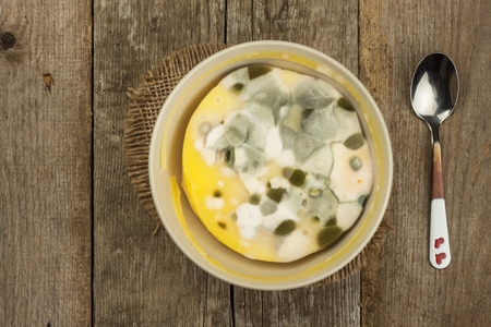 Moldy pudding. Poisonous food full of mold. Unhealthy food. Spores of the fungus for food. Growing mold.の写真素材