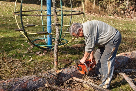 Old man fells larch. Lumberjack working in a forest. Active life in old age. Preparing firewood for the winter. Man working with a chainsaw. Active seniors.の写真素材