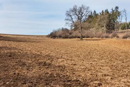 Plowed field in the Czech Republic. Spring farm work. Farm landscapeの写真素材